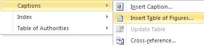 image about Captions of Reference menu in Word 2010